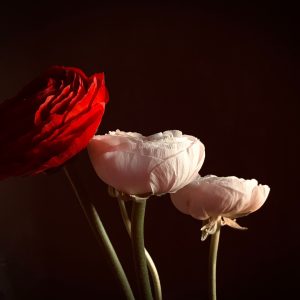 Charming Carnation Vase